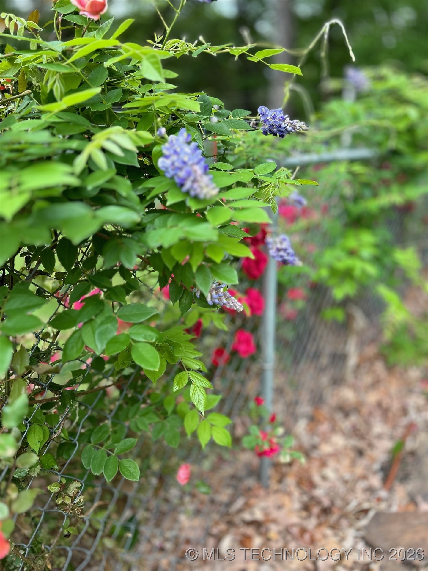 374 Cedar Tree Drive Property Photo 86