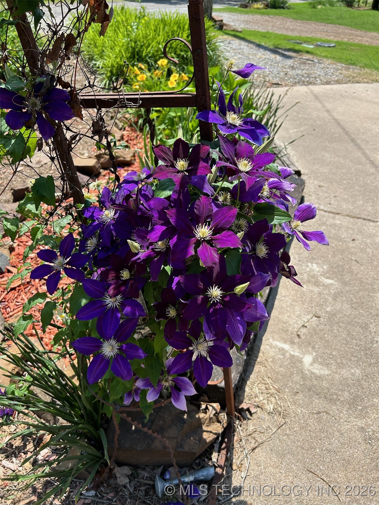 374 Cedar Tree Drive Property Photo 87