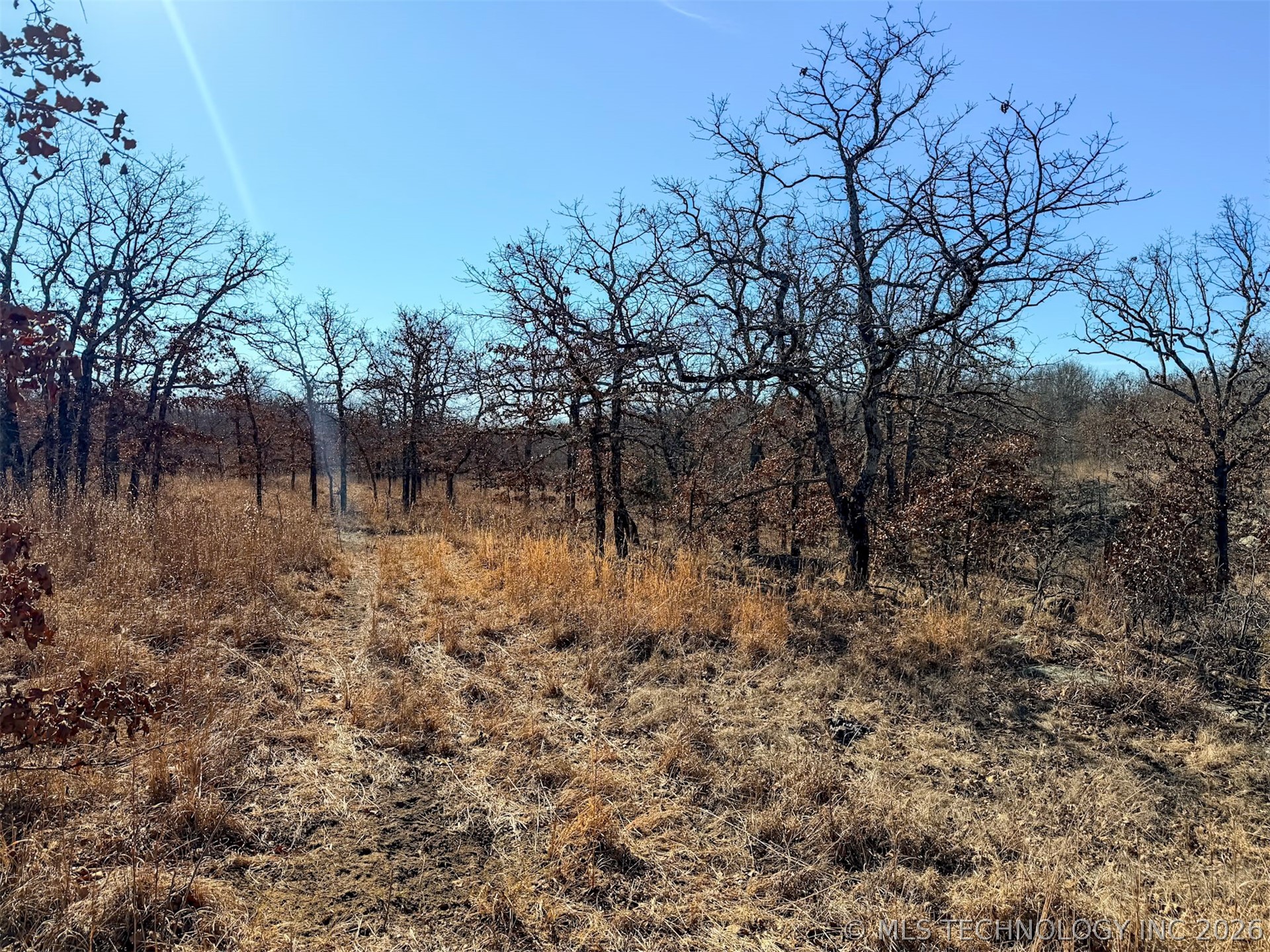 County Road 1405 Property Photo 2