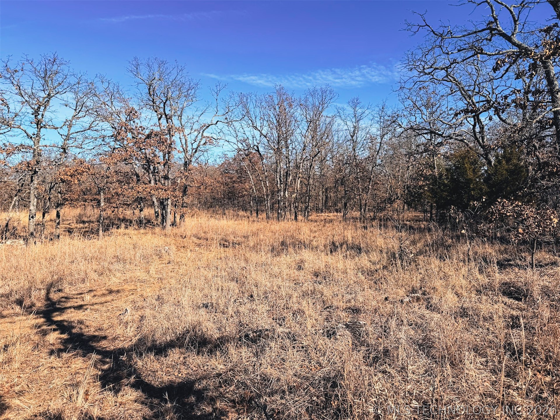 County Road 1405 Property Photo 3