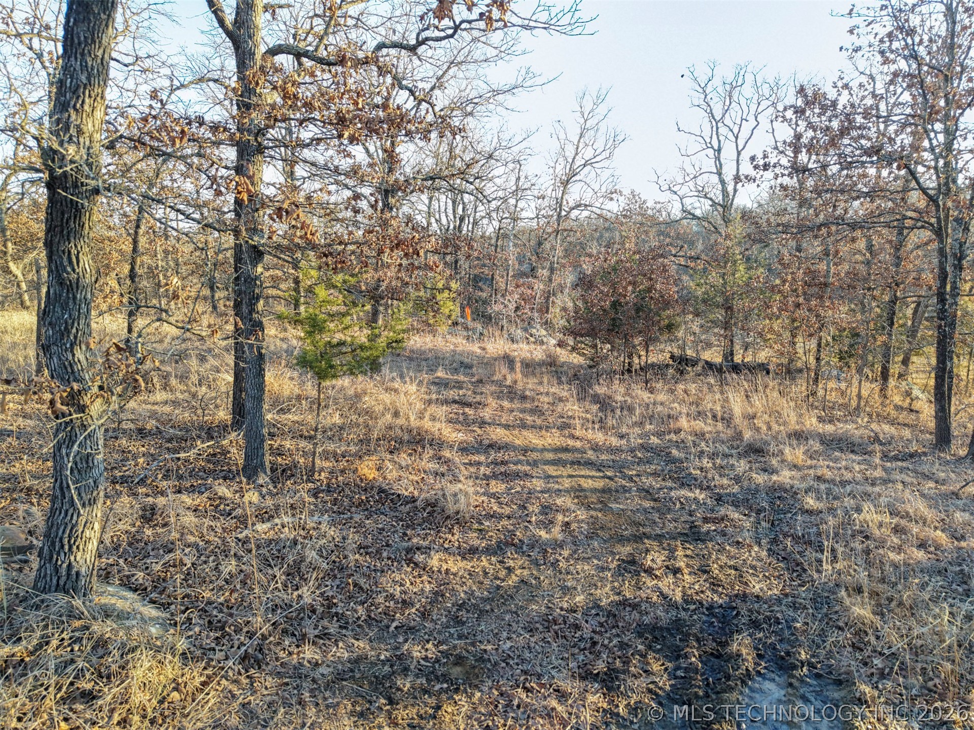 County Road 1405 Property Photo 4