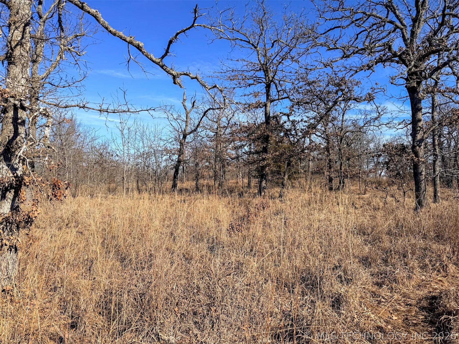 County Road 1405 Property Photo 5