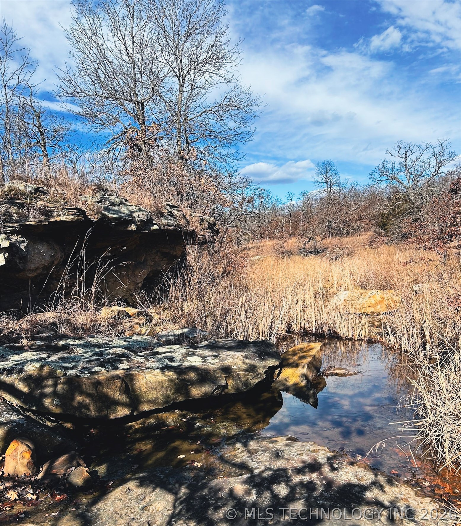 County Road 1405 Property Photo 6