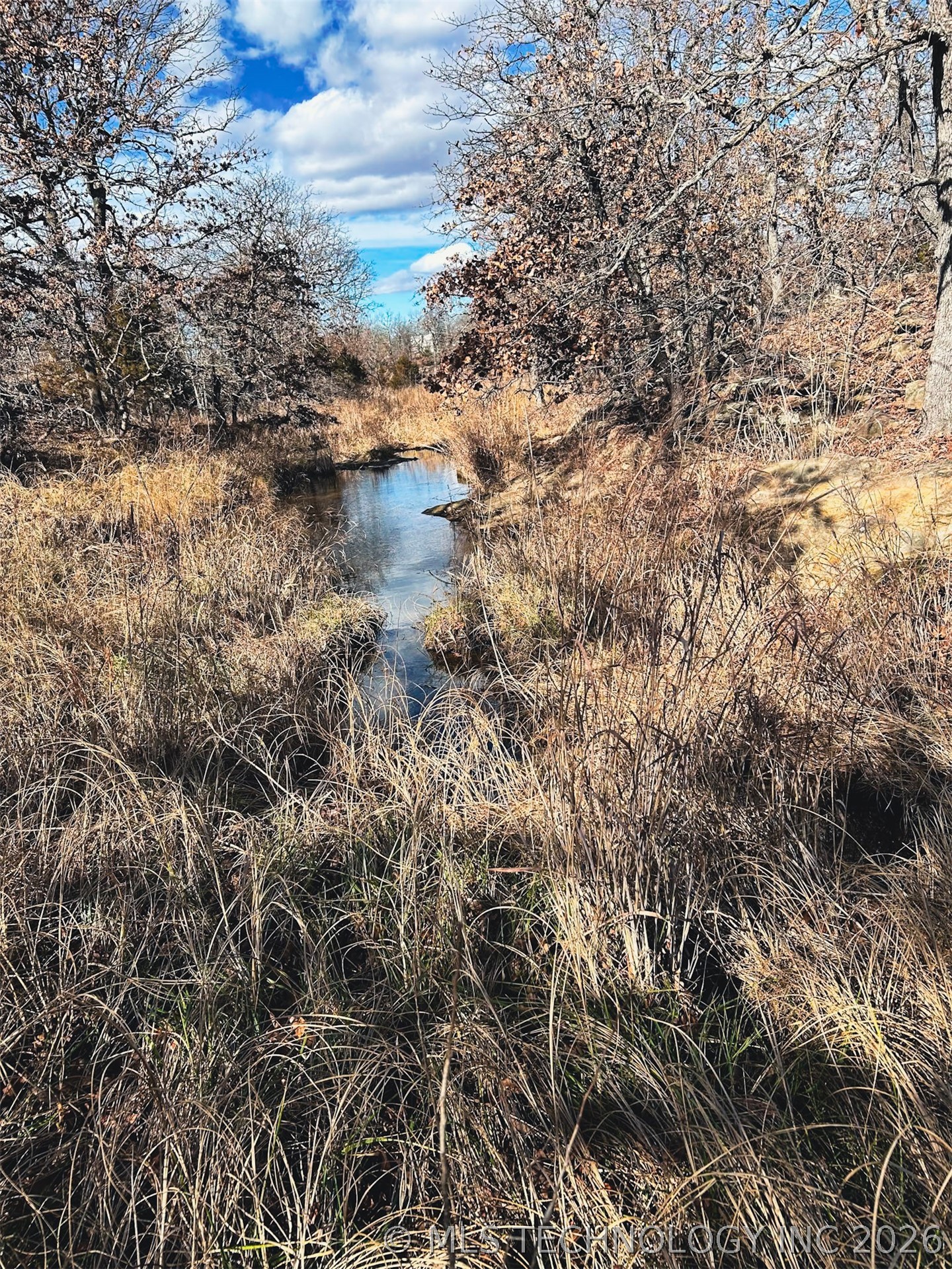 County Road 1405 Property Photo 7