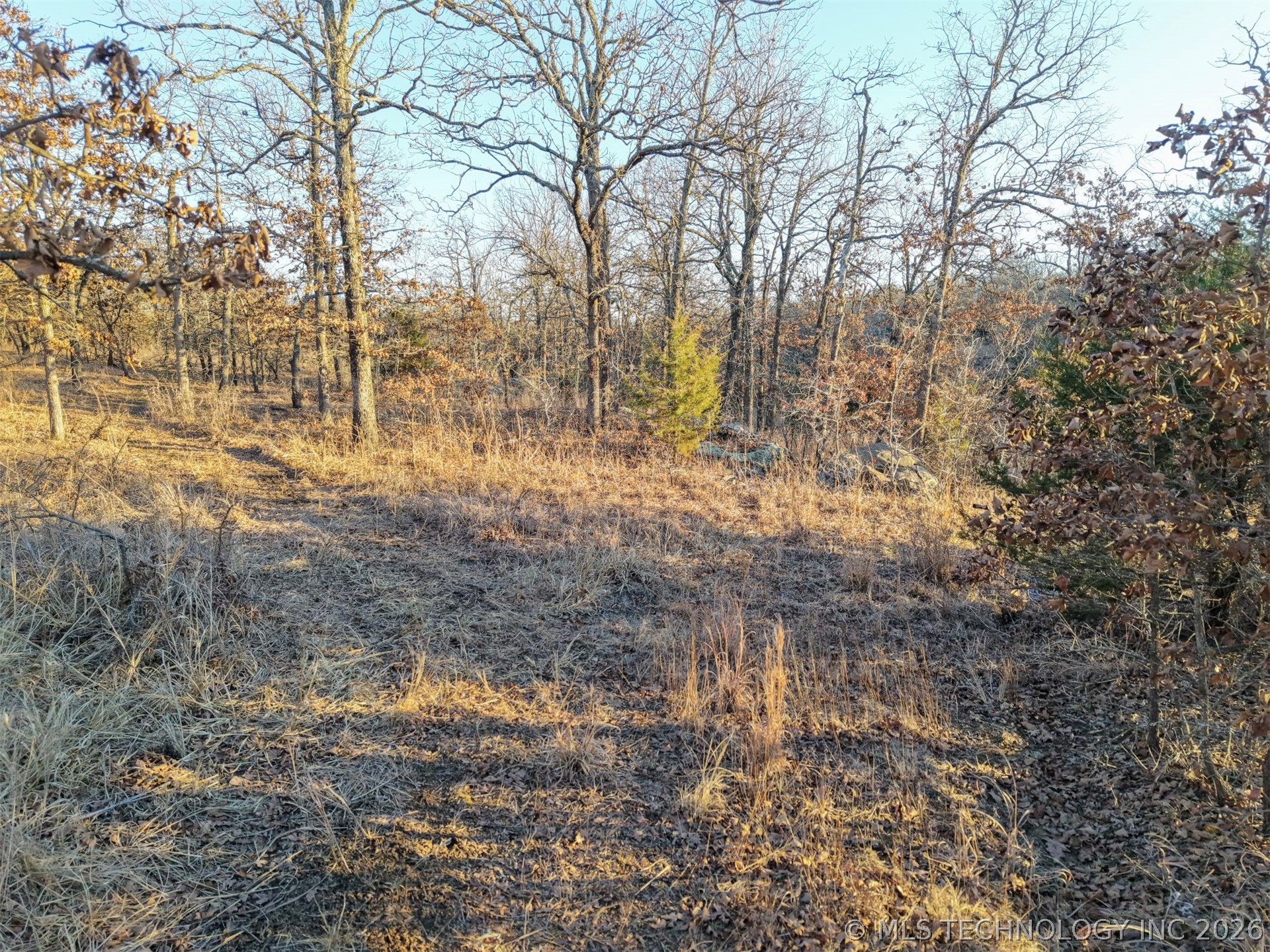 County Road 1405 Property Photo 14