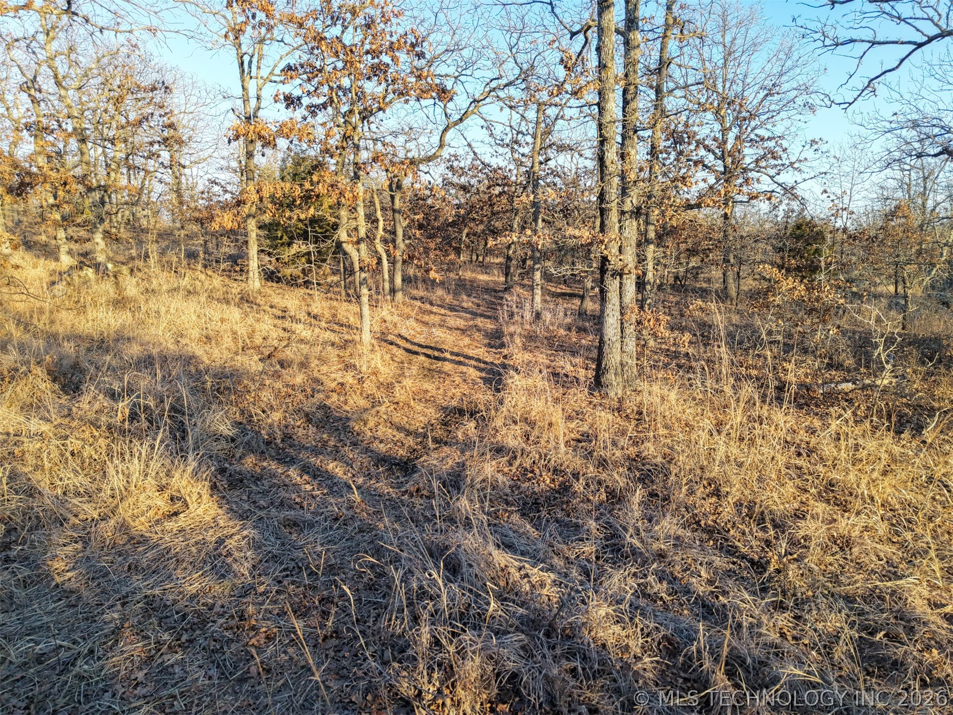 County Road 1405 Property Photo 15