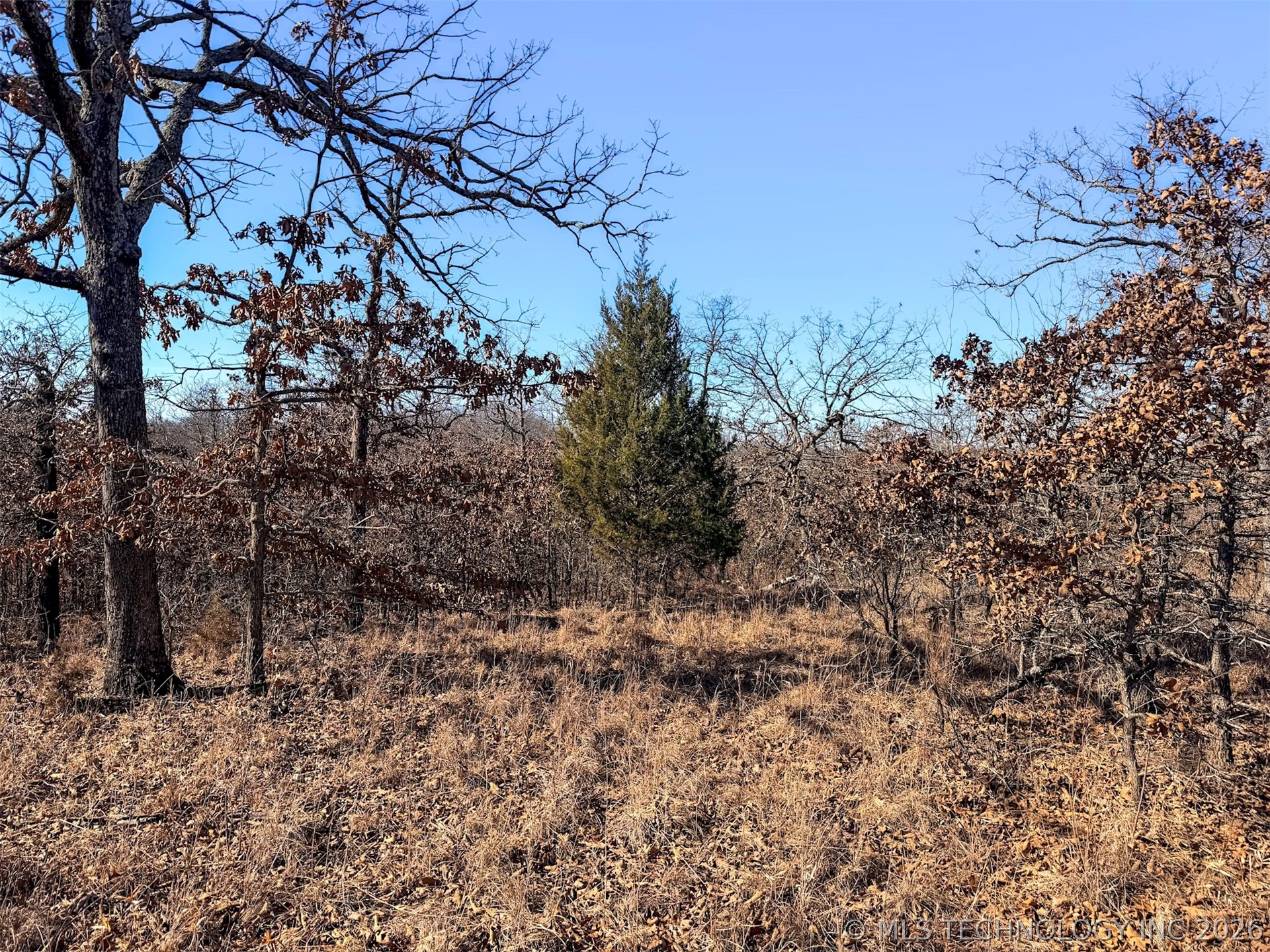 County Road 1405 Property Photo 16