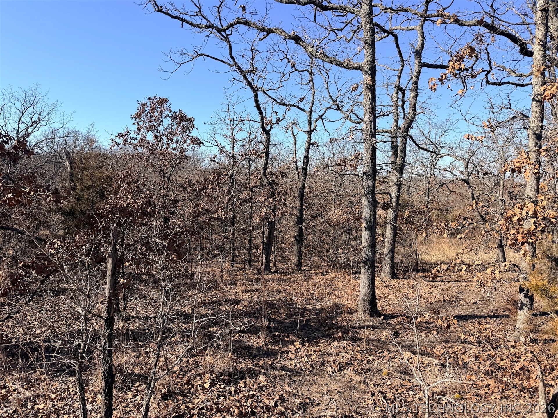 County Road 1405 Property Photo 17