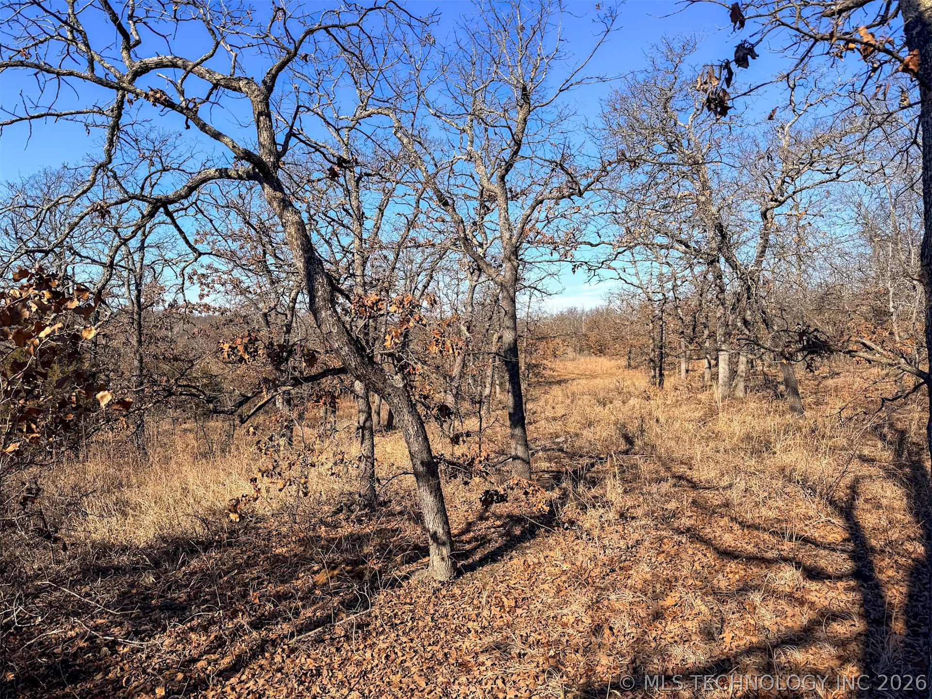 County Road 1405 Property Photo 18