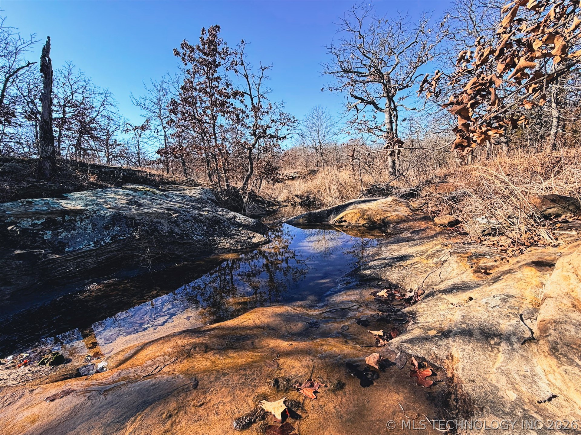 County Road 1405 Property Photo 19