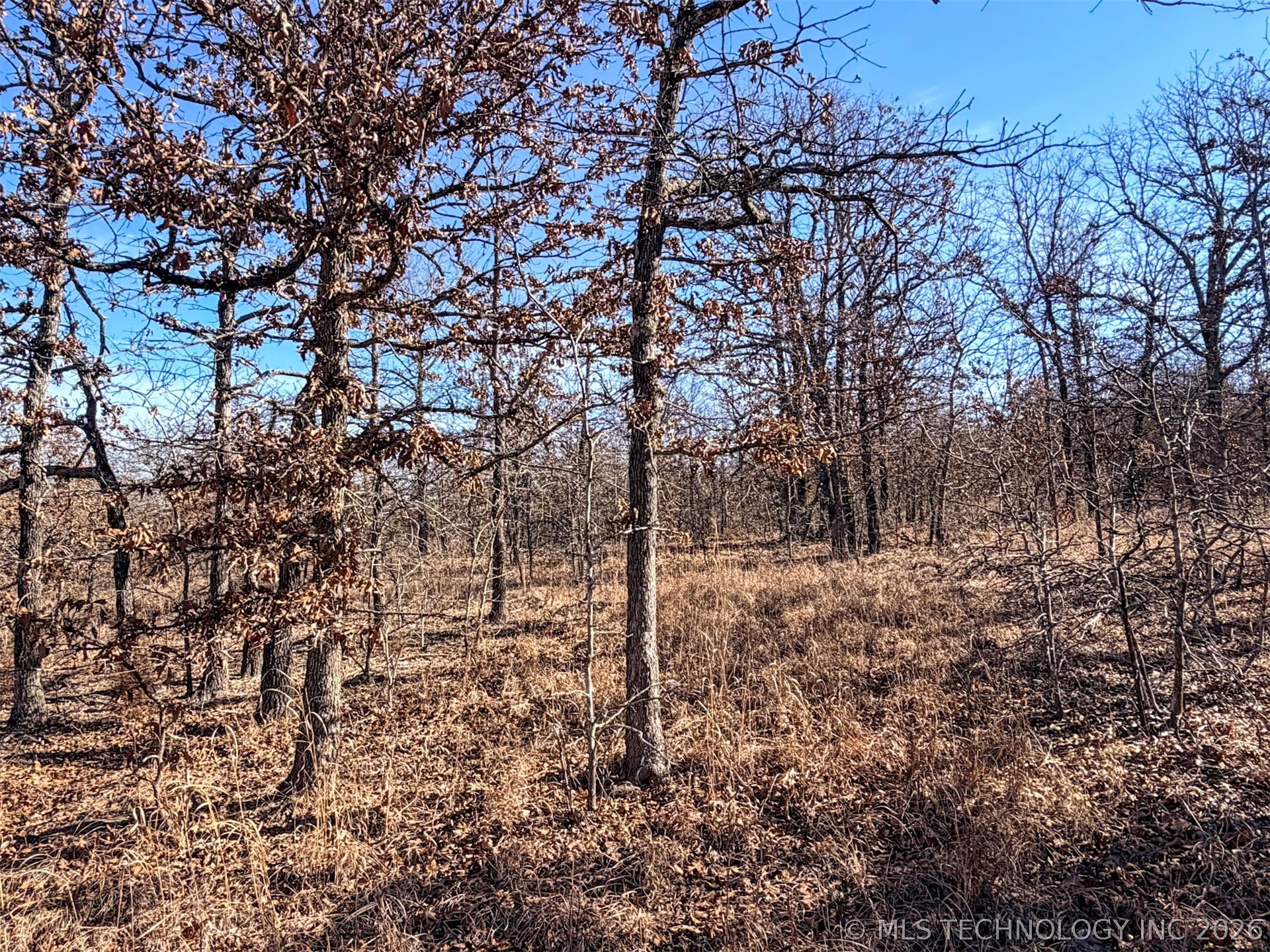 County Road 1405 Property Photo 20