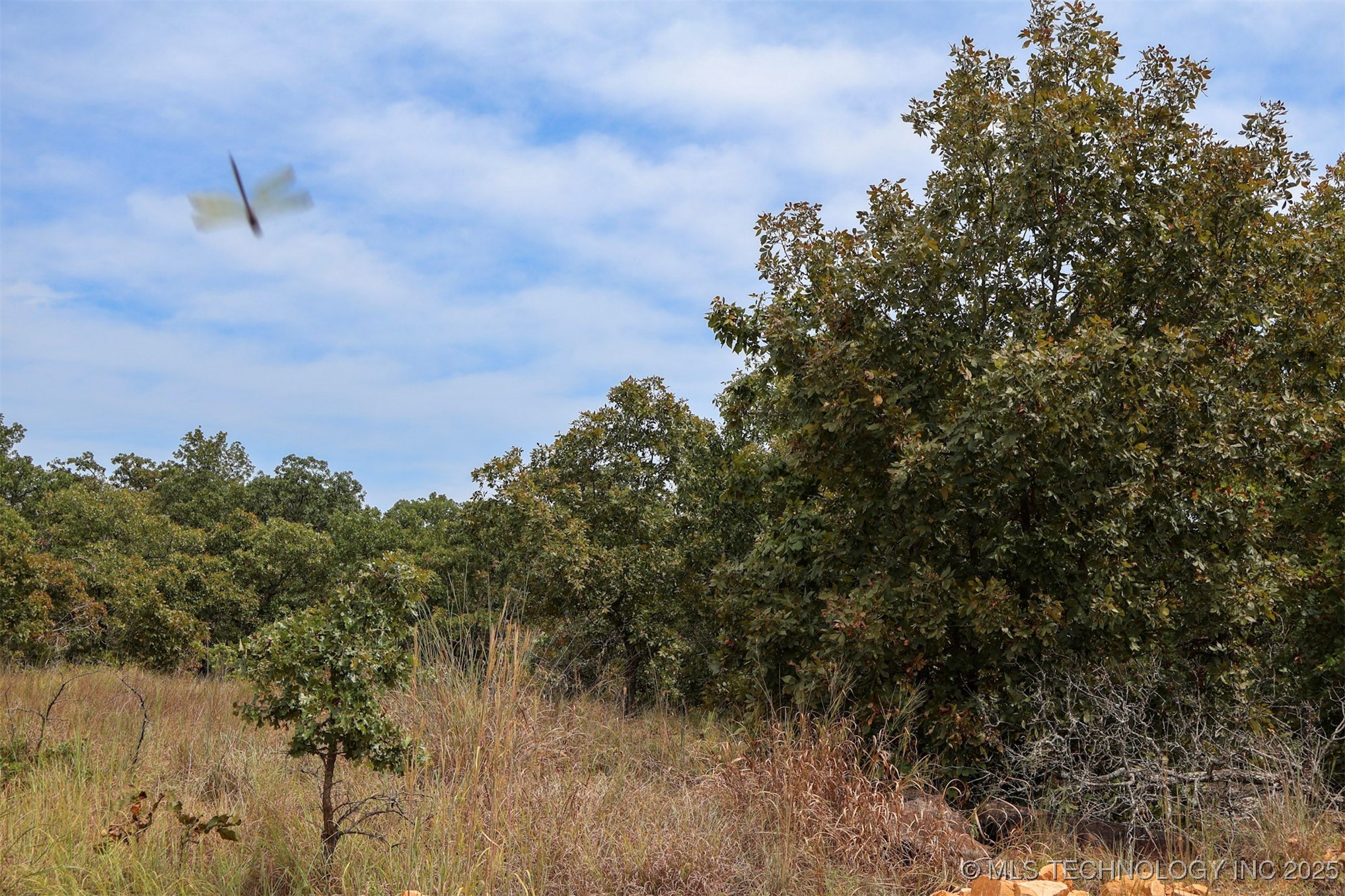 County Road 1405 Property Photo 22