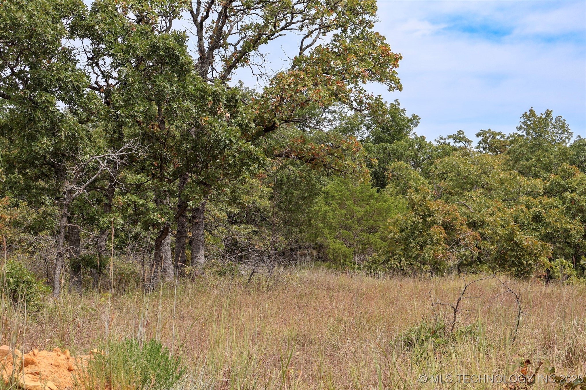 County Road 1405 Property Photo 24