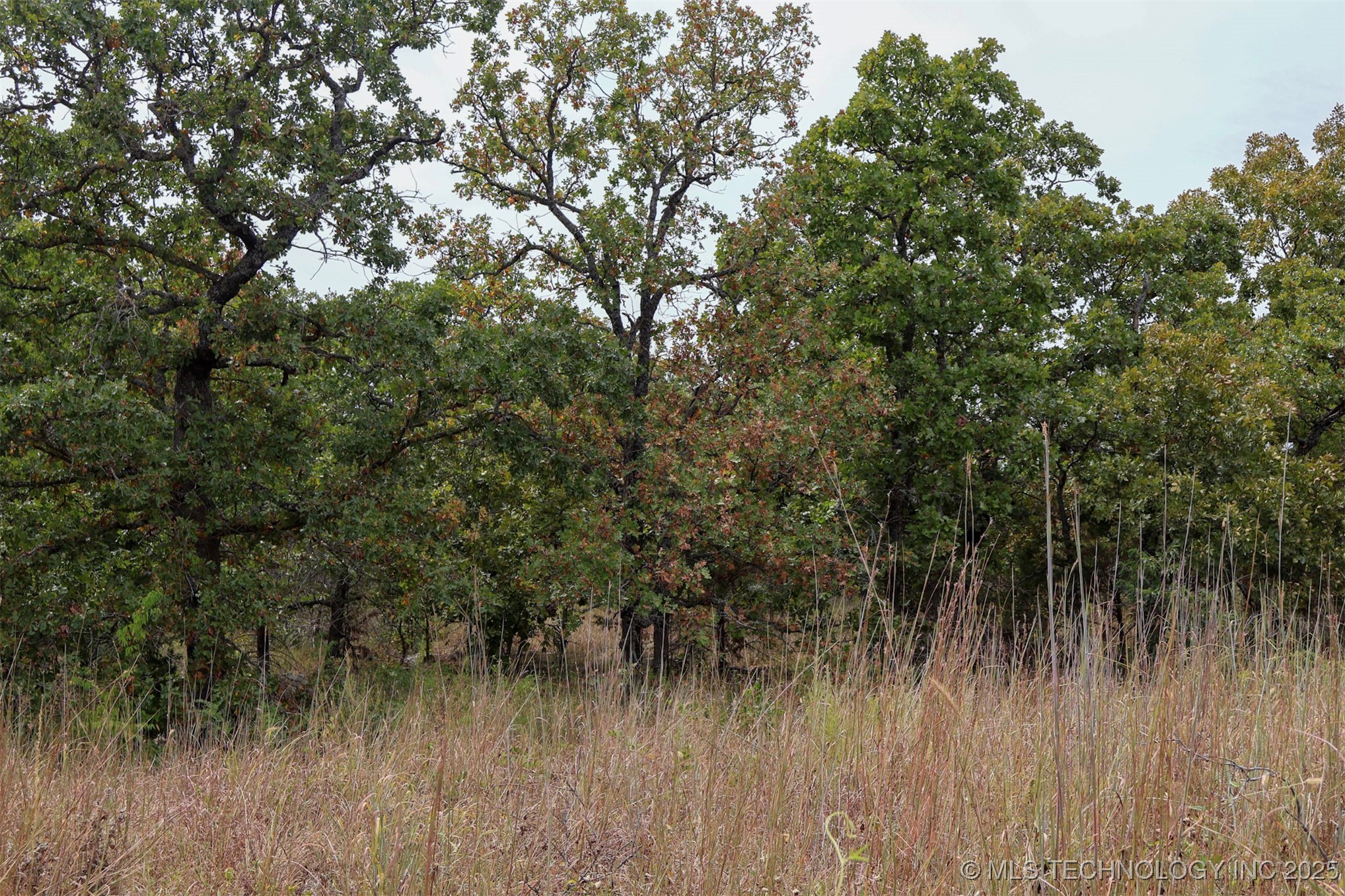 County Road 1405 Property Photo 25