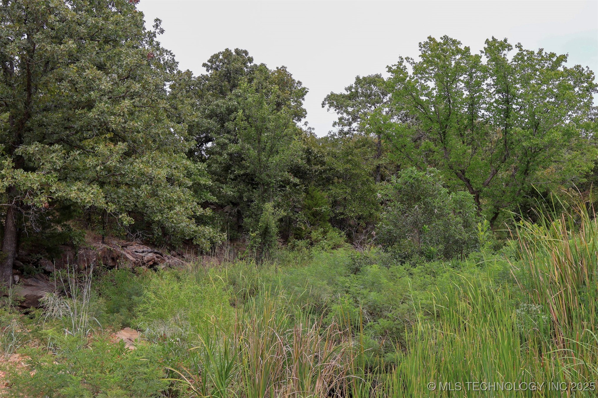 County Road 1405 Property Photo 26