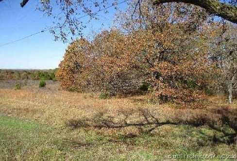 26986 Highway 51 Property Photo 9