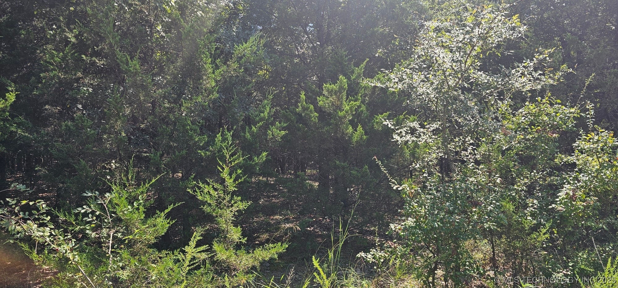 0000 Bootleg Property Photo 1