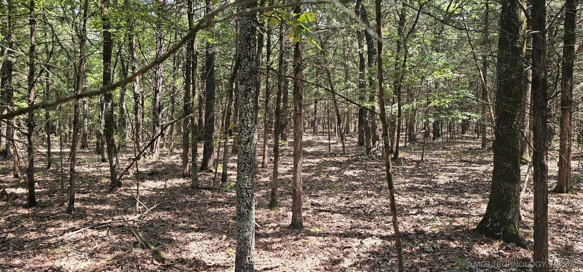 0000 Bootleg Property Photo 2