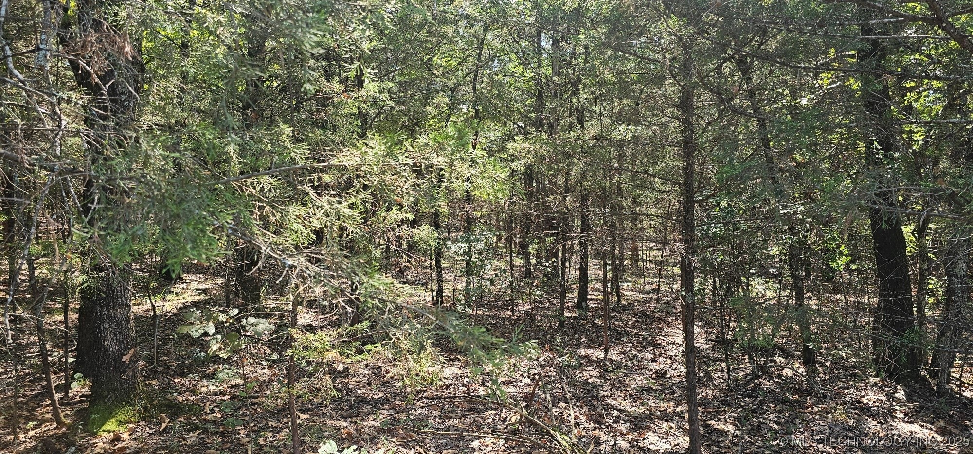 0000 Bootleg Property Photo 3