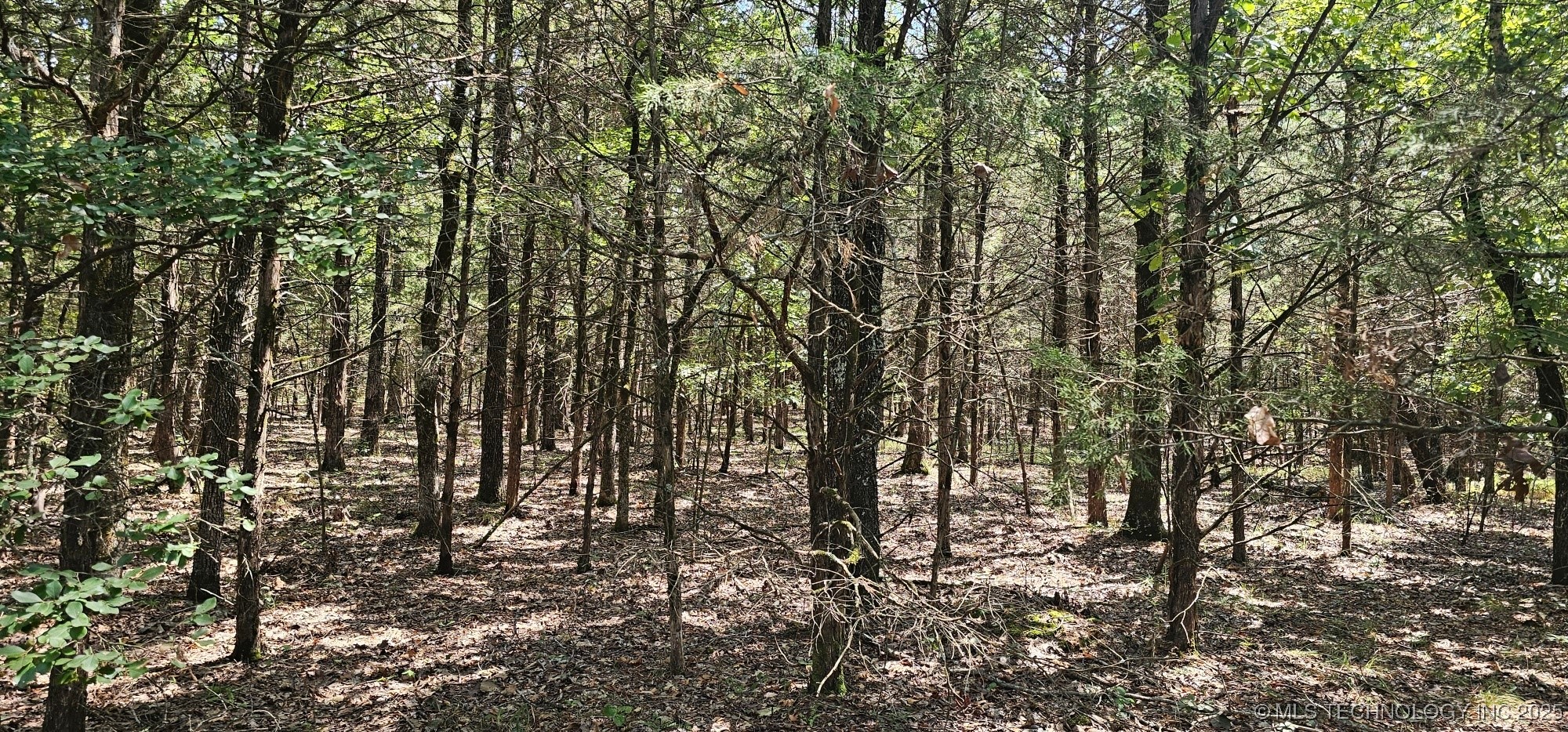 0000 Bootleg Property Photo 4