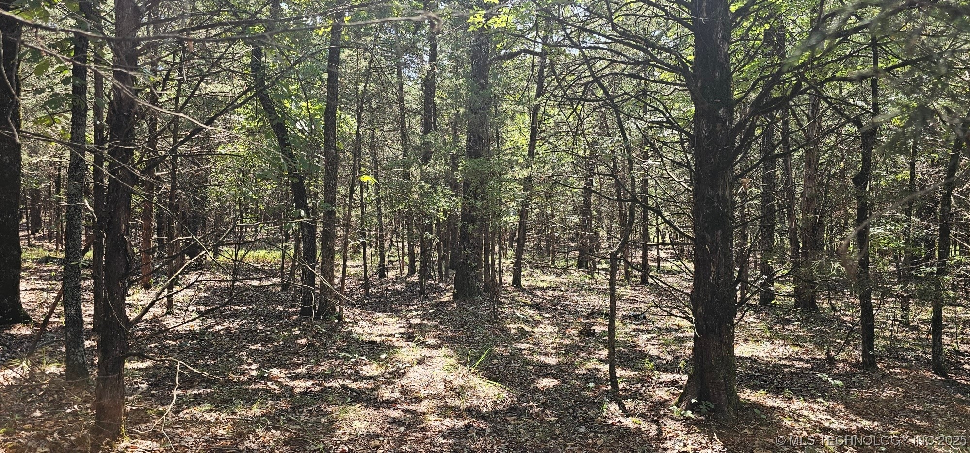 0000 Bootleg Property Photo 5