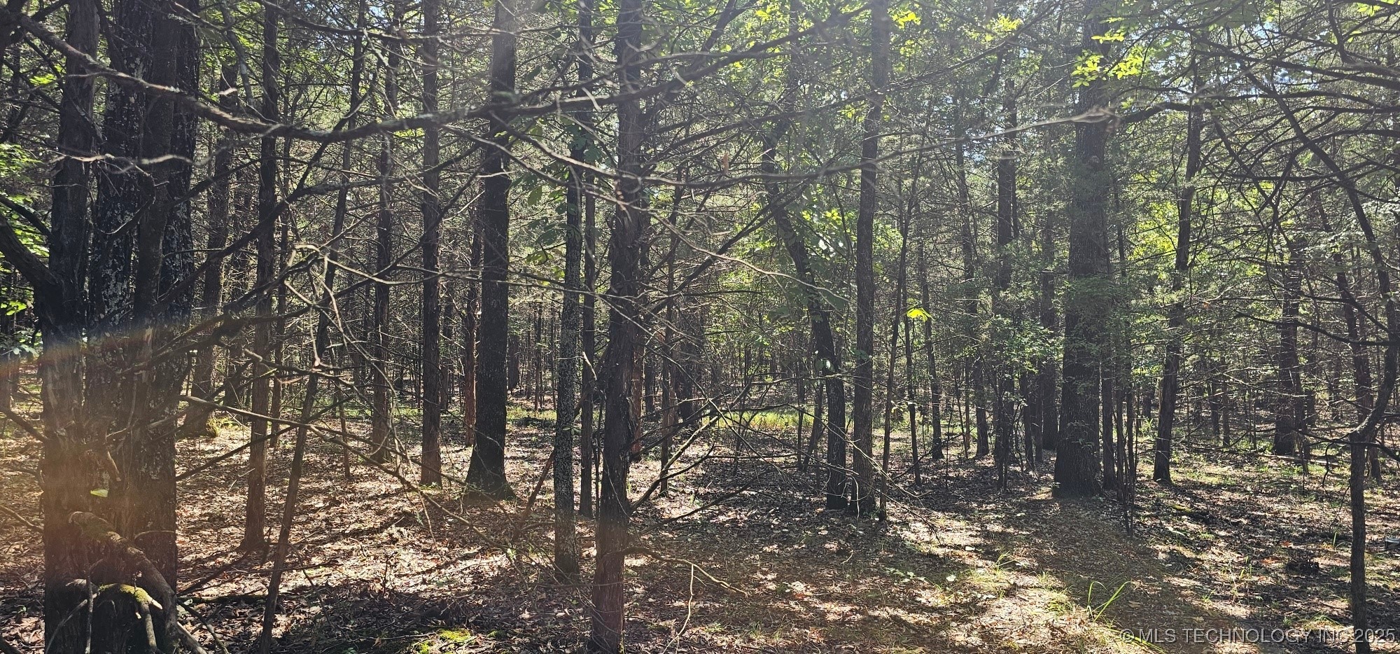 0000 Bootleg Property Photo 6