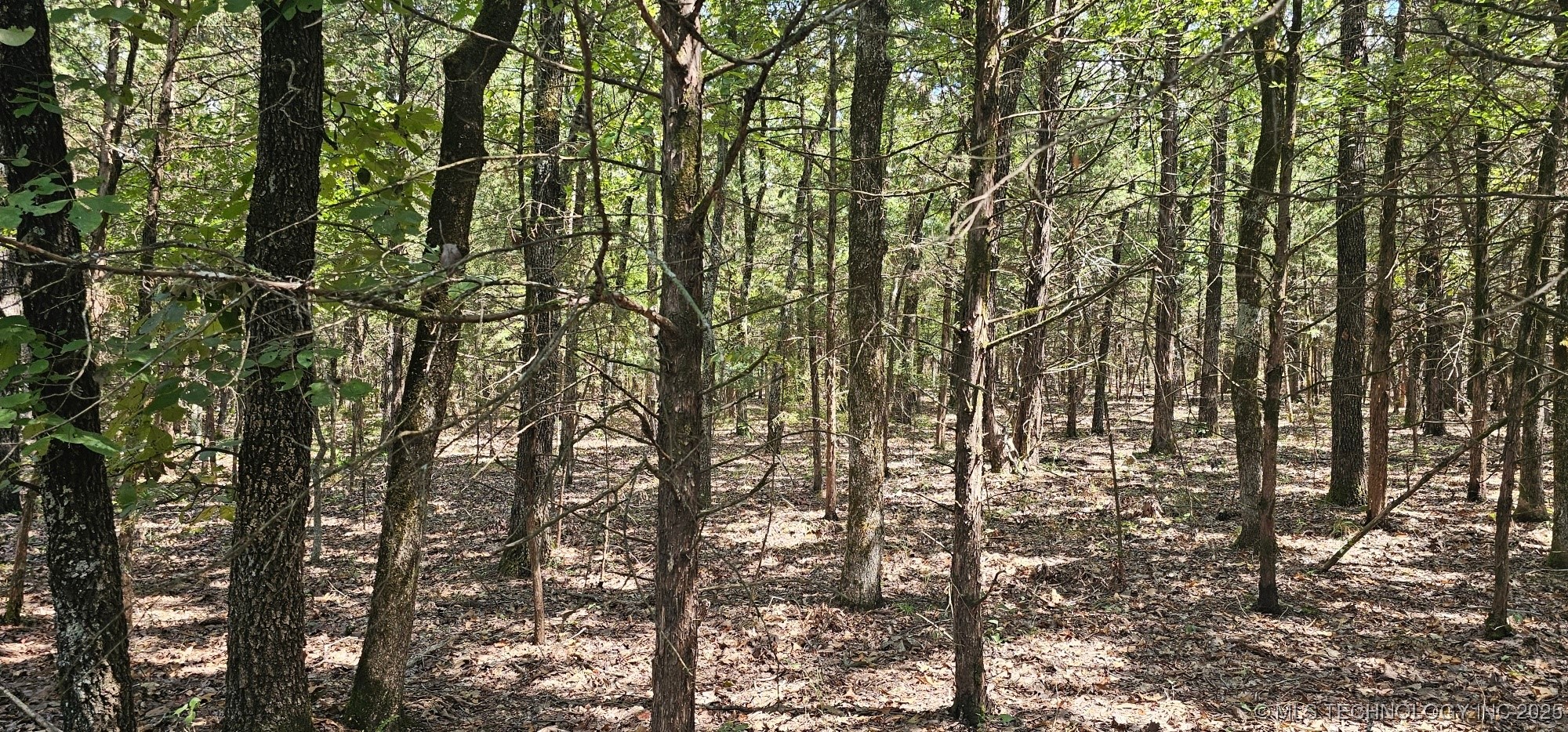 0000 Bootleg Property Photo 7