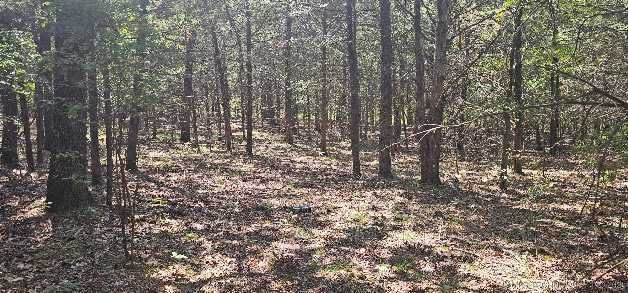 0000 Bootleg Property Photo 8