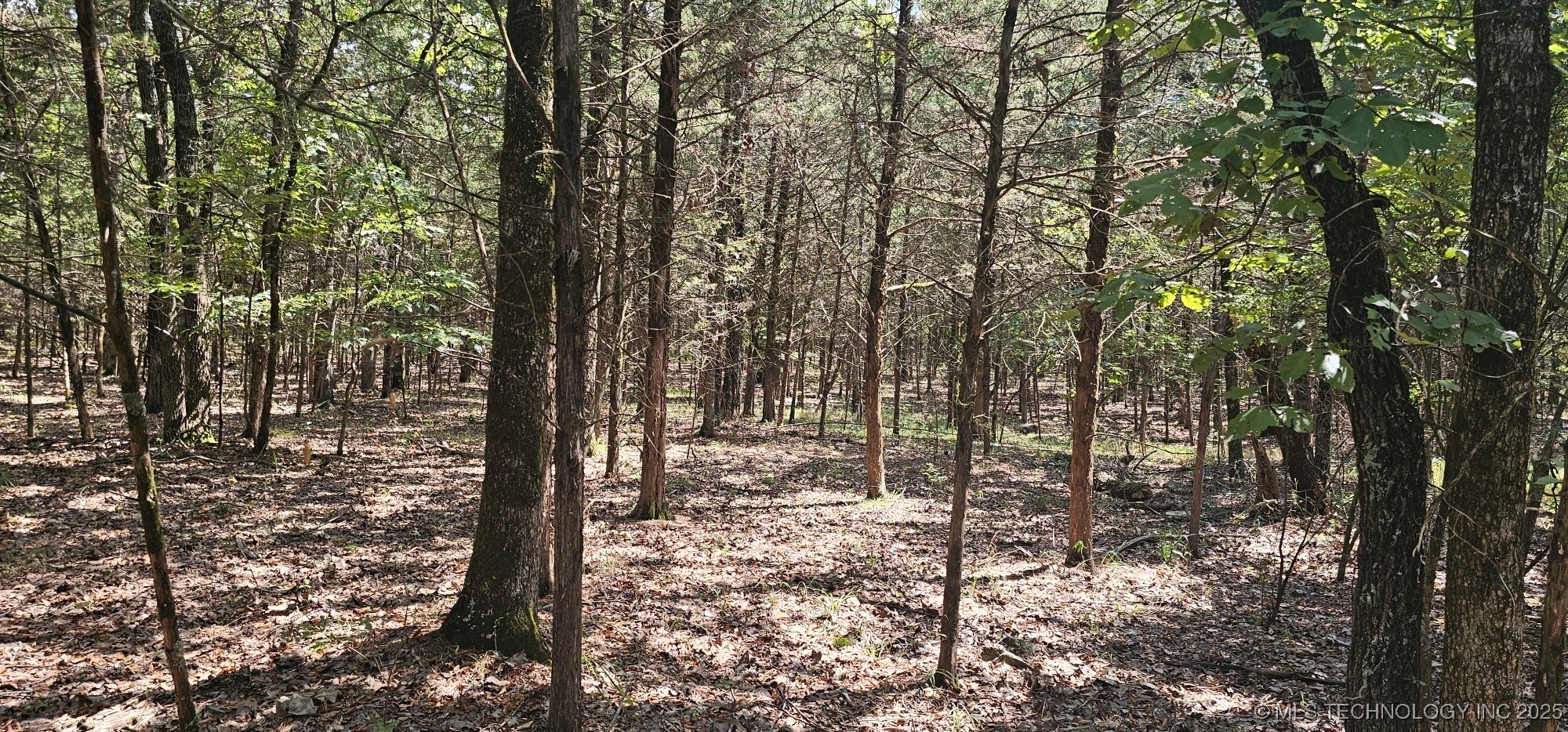 0000 Bootleg Property Photo 9