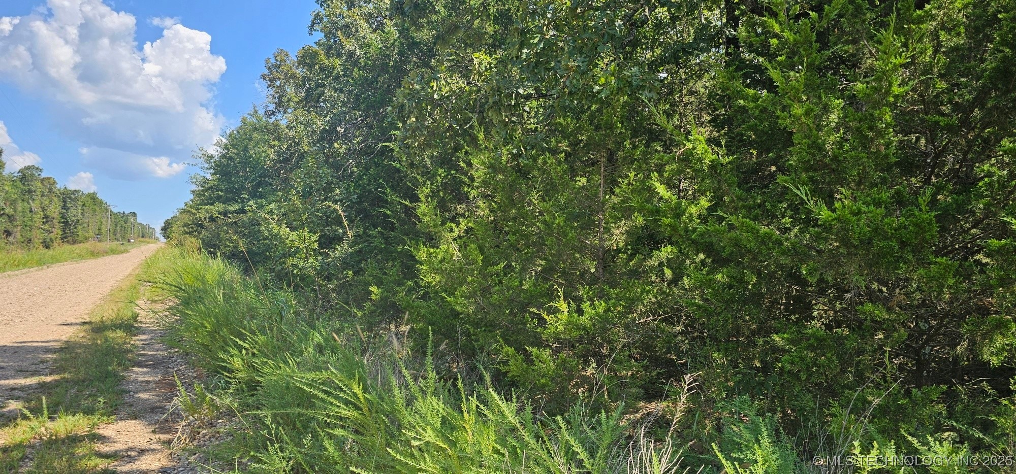 0000 Bootleg Property Photo 10