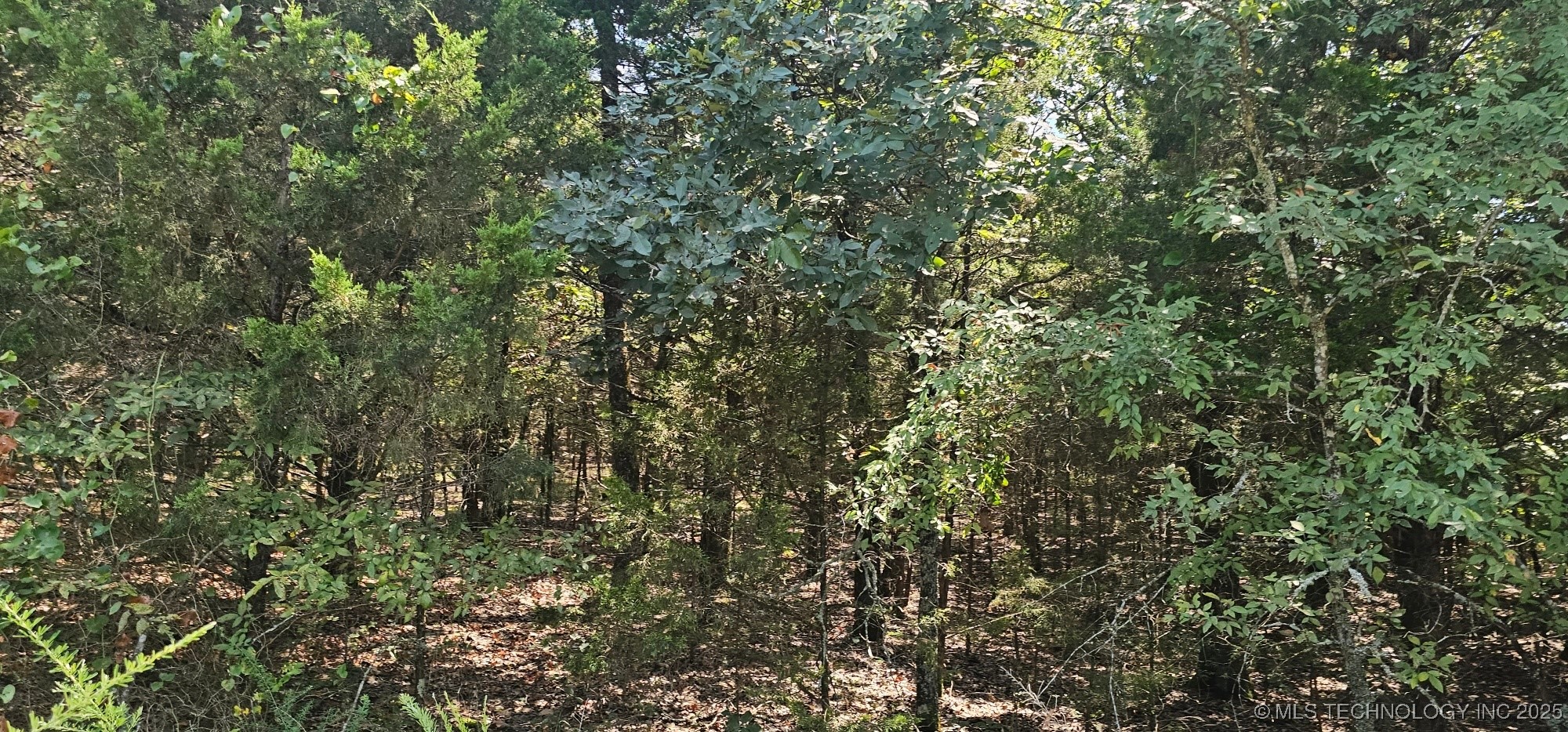 0000 Bootleg Property Photo 11