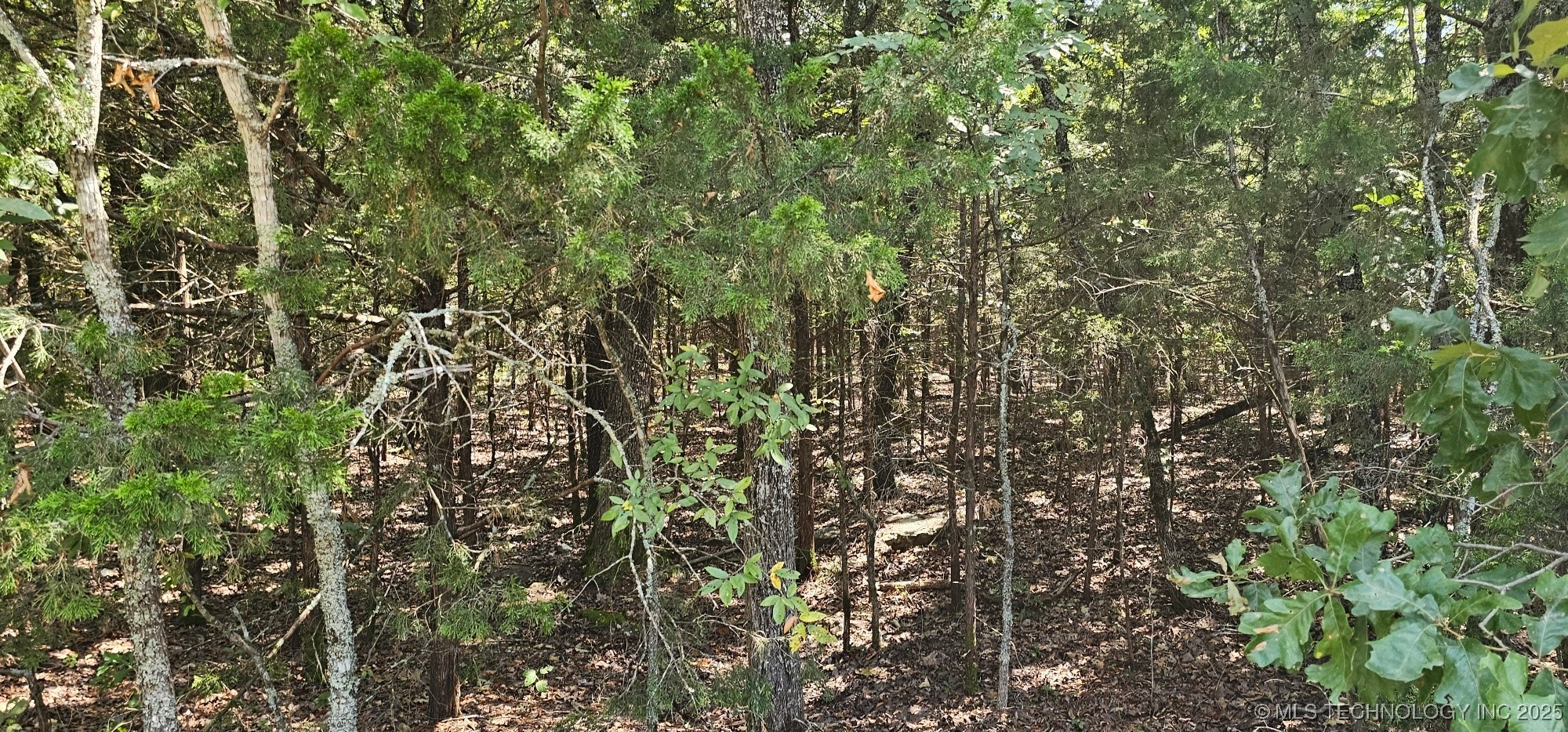 0000 Bootleg Property Photo 12