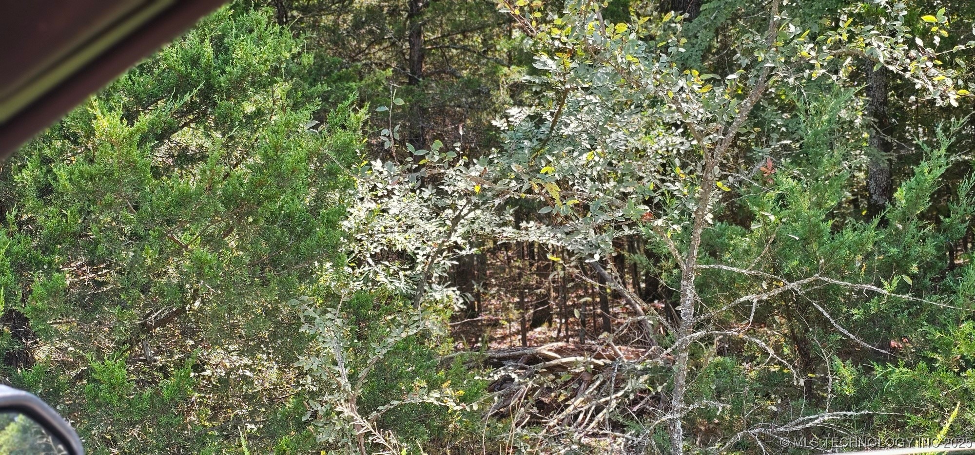 0000 Bootleg Property Photo 15