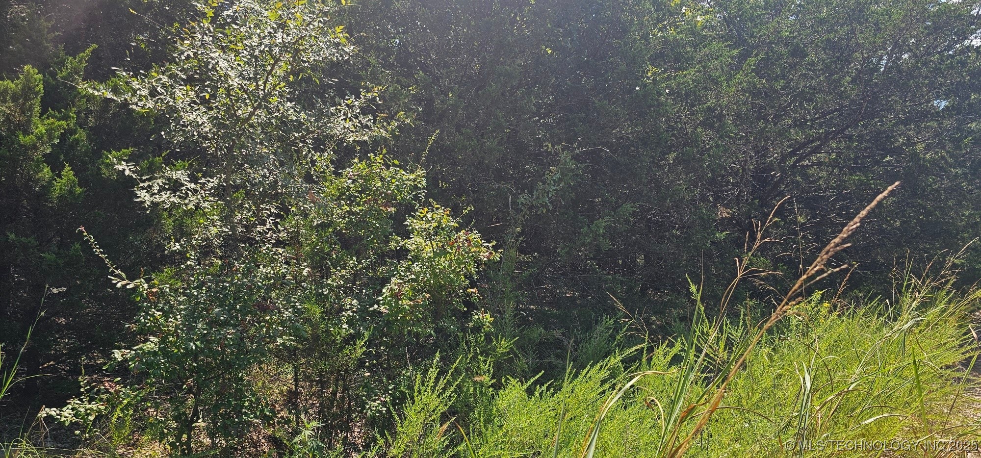 0000 Bootleg Property Photo 16