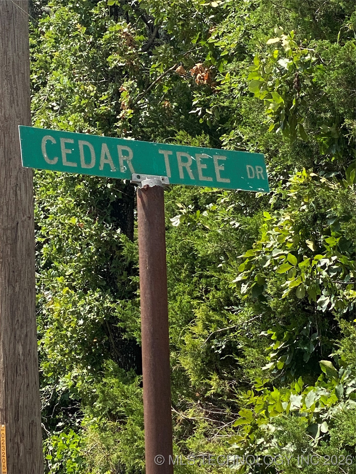 440 Cedar Tree Drive Property Photo 53