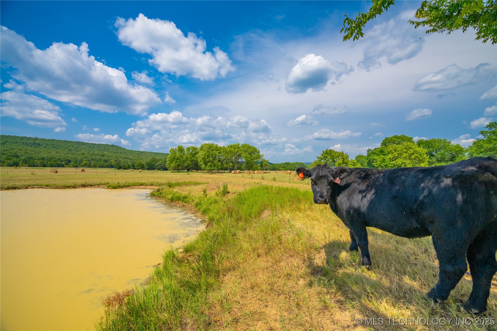 21540 E State Highway 31 Property Photo 9