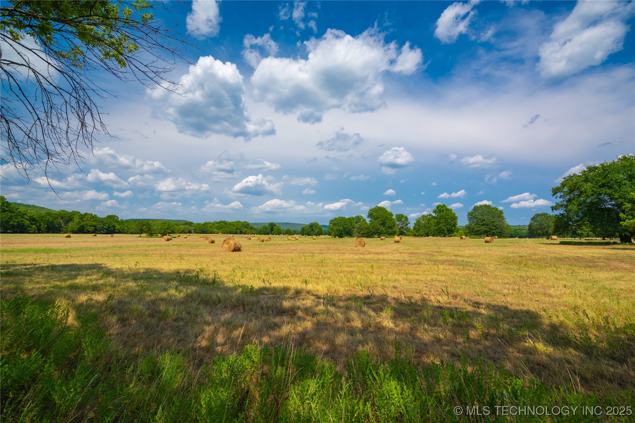 21540 E State Highway 31 Property Photo 10