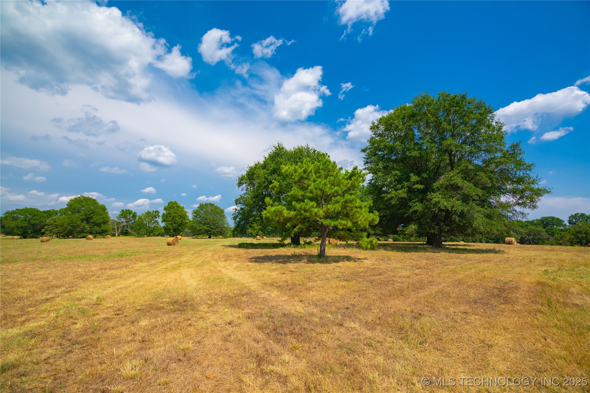 21540 E State Highway 31 Property Photo 11