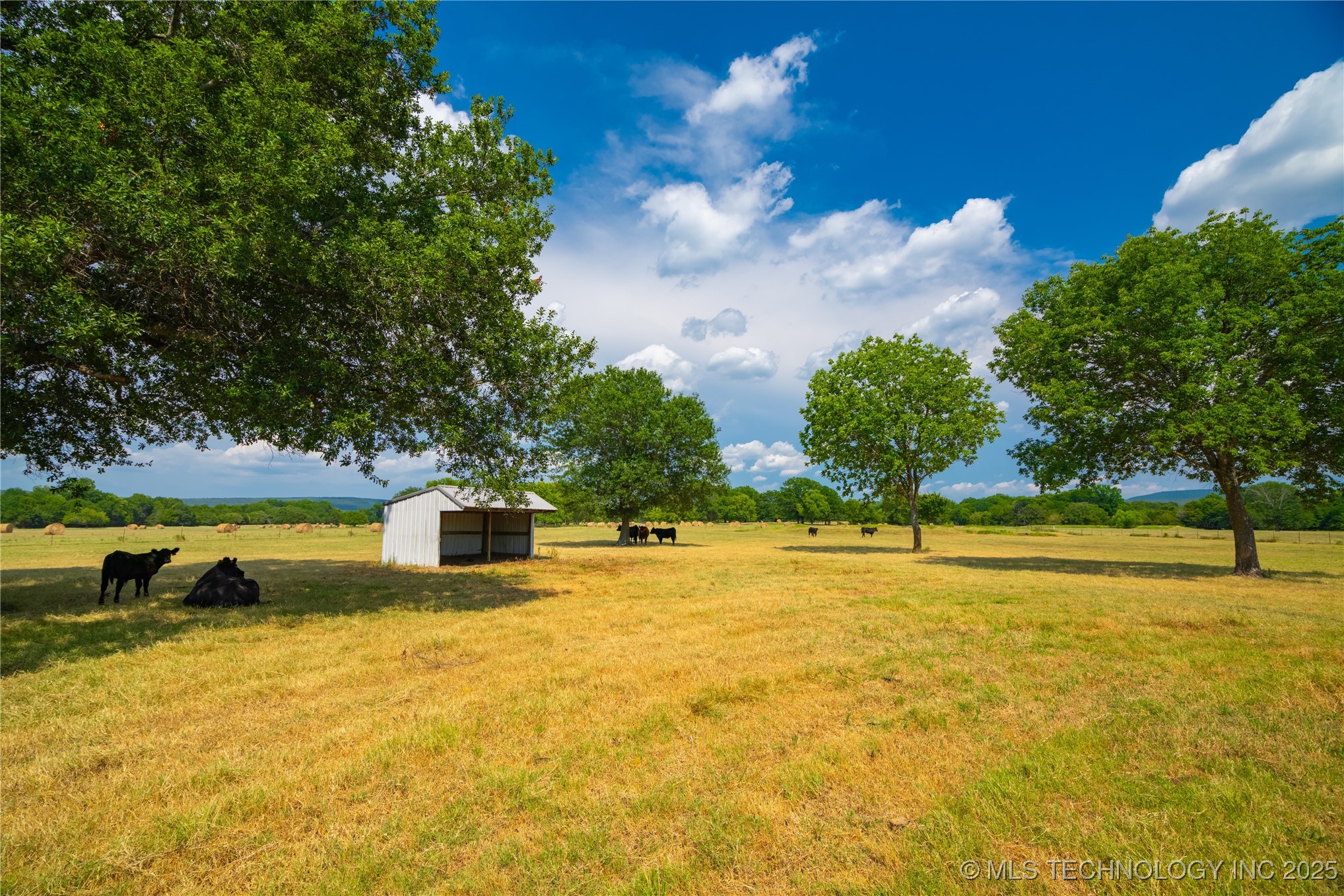 21540 E State Highway 31 Property Photo 12