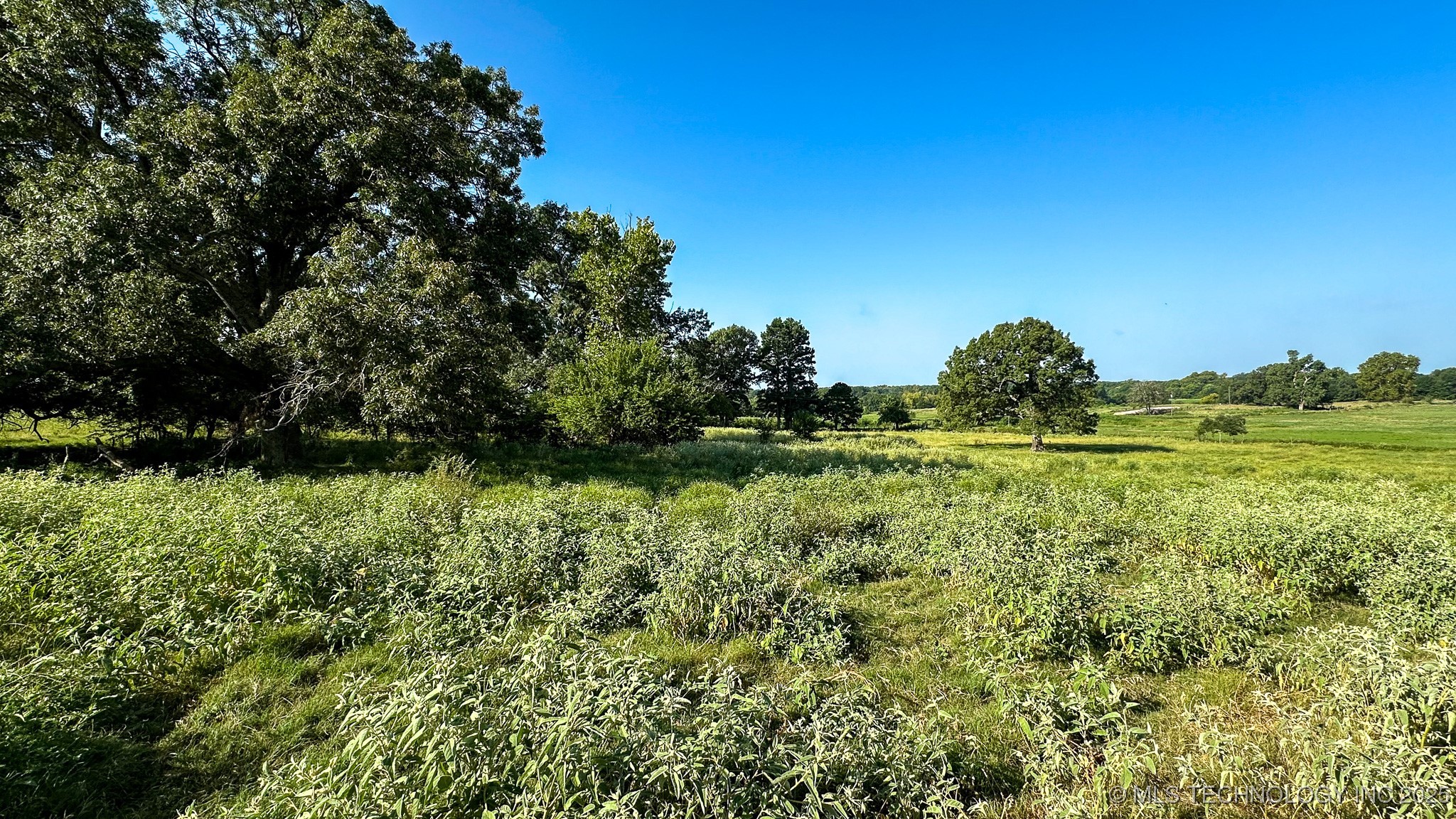19499 E Whippoorwill Lane Property Photo 59