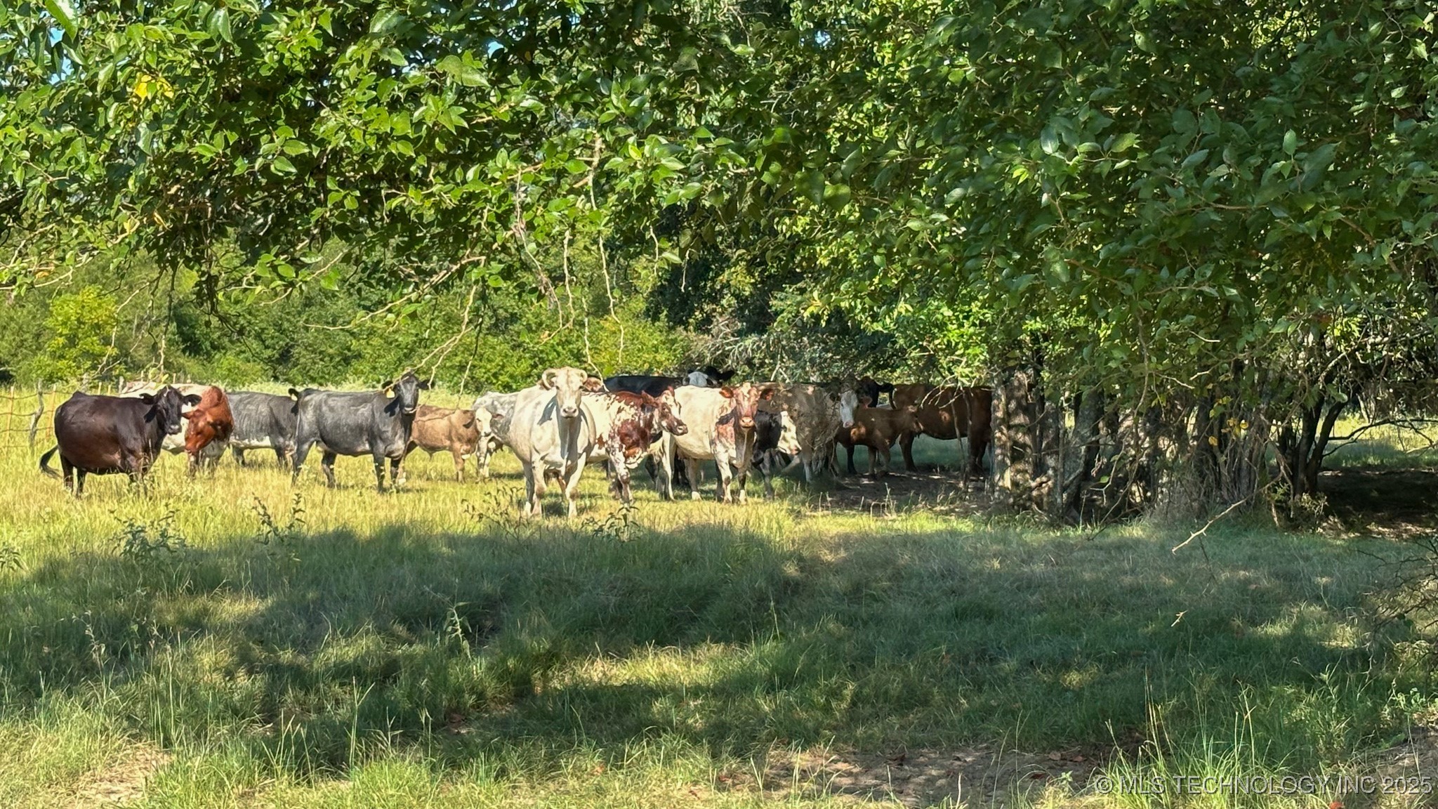 19499 E Whippoorwill Lane Property Photo 68