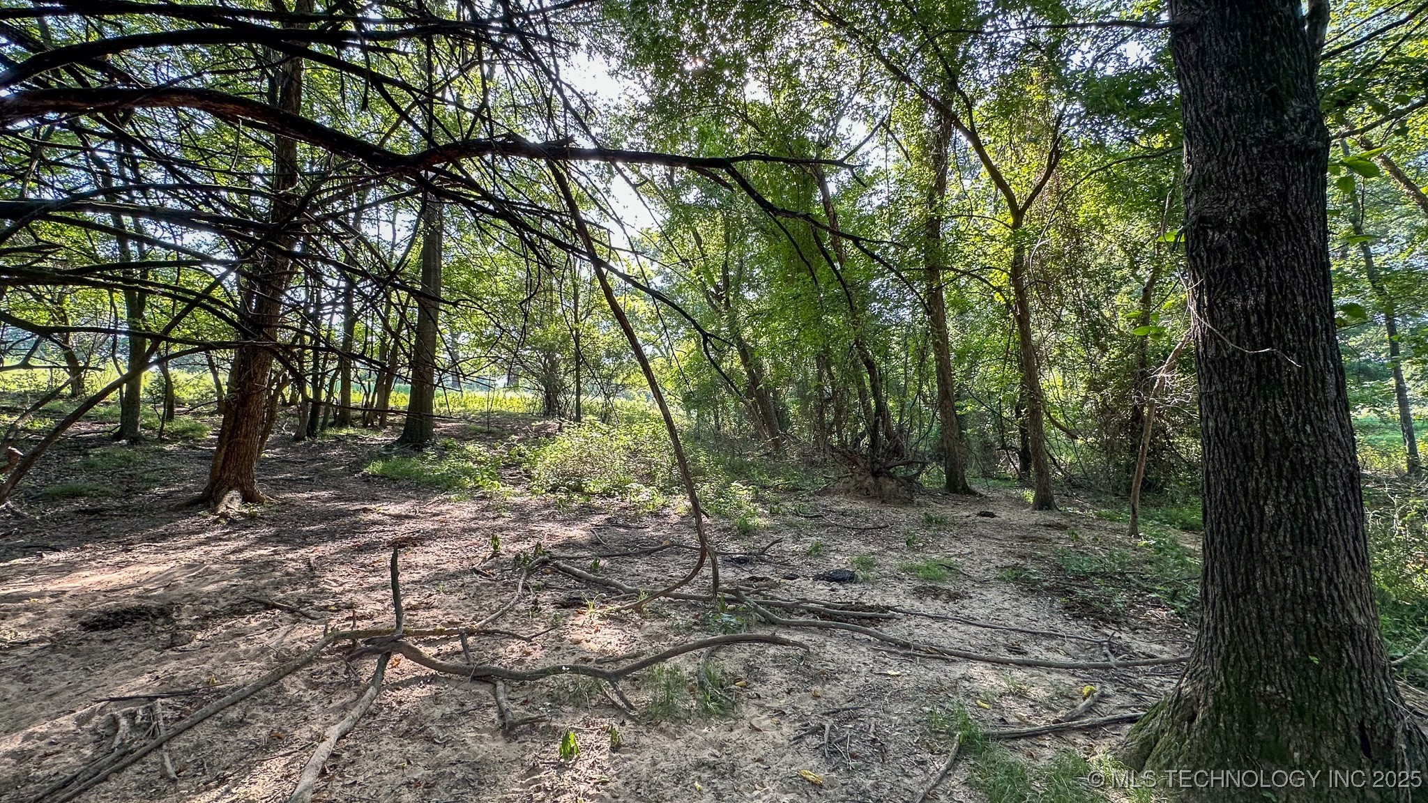 19499 E Whippoorwill Lane Property Photo 75