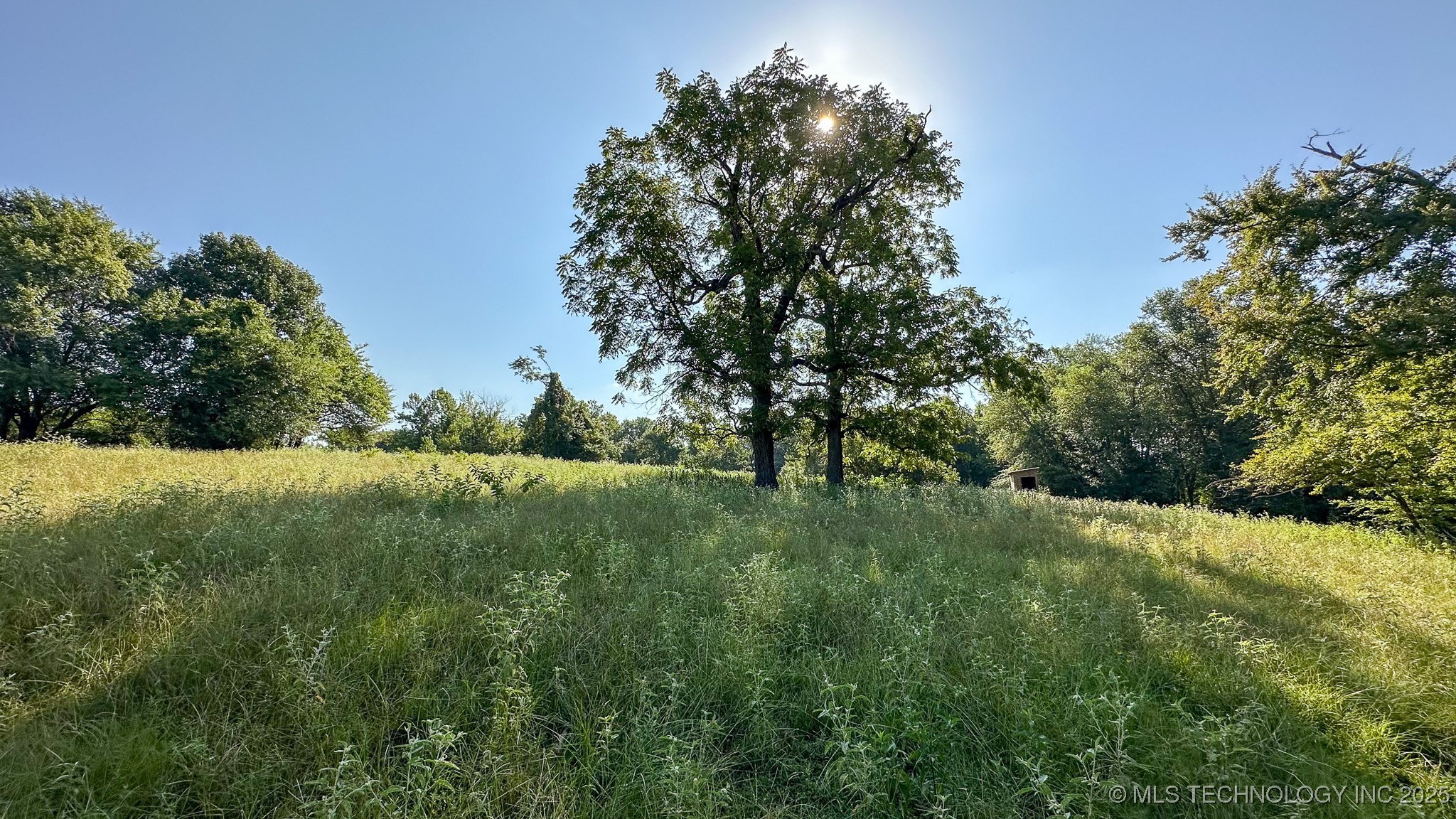 19499 E Whippoorwill Lane Property Photo 76