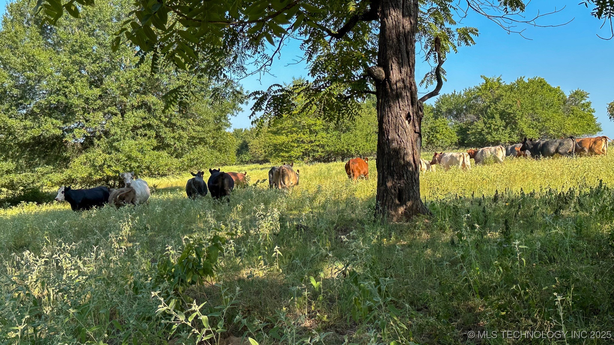 19499 E Whippoorwill Lane Property Photo 82