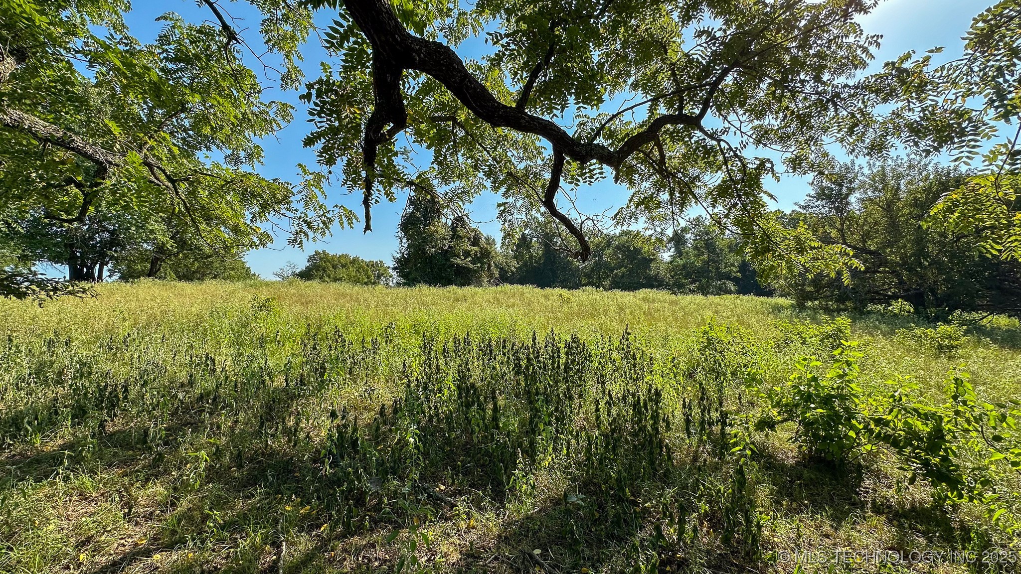 19499 E Whippoorwill Lane Property Photo 83