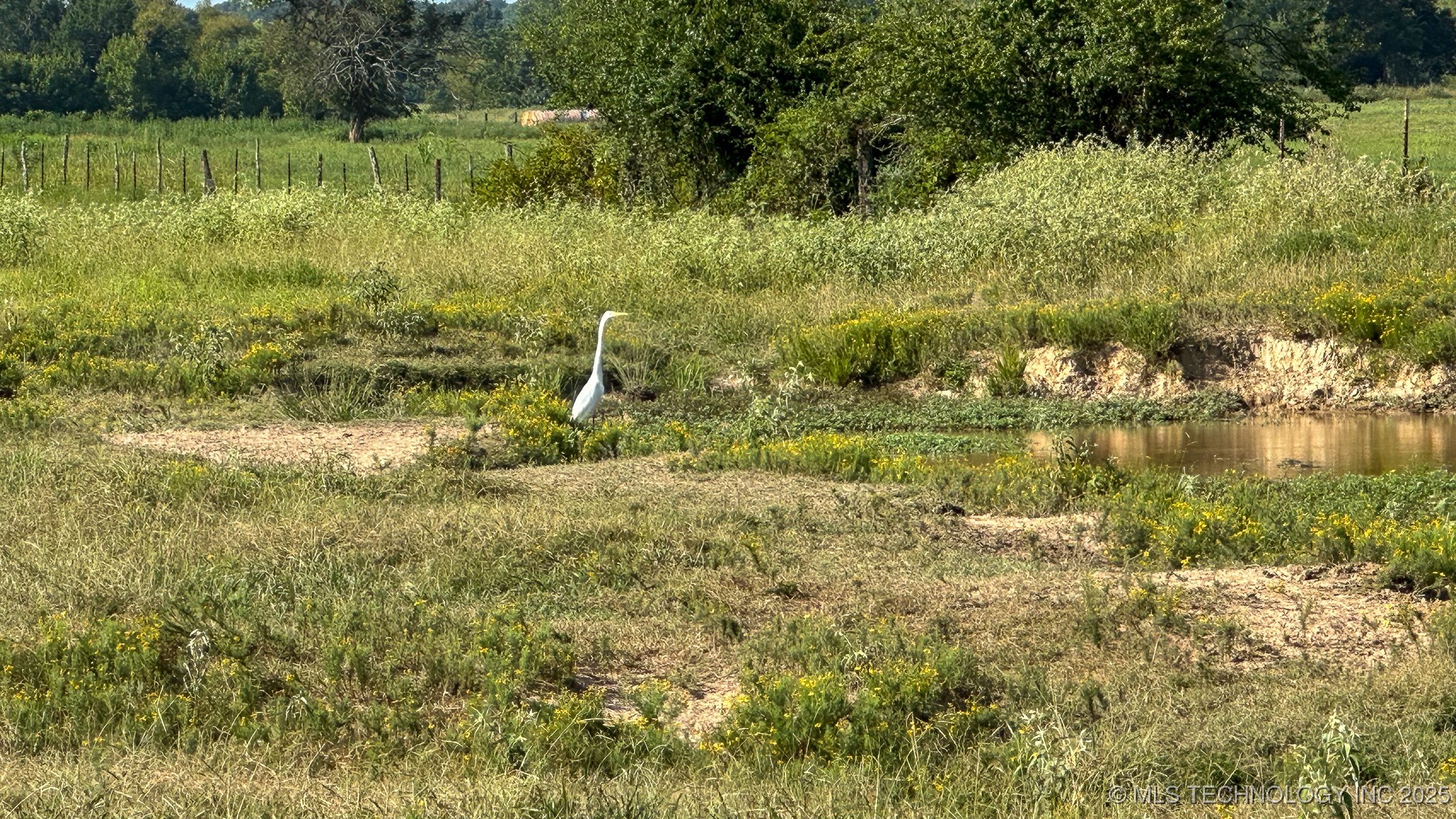 19499 E Whippoorwill Lane Property Photo 86
