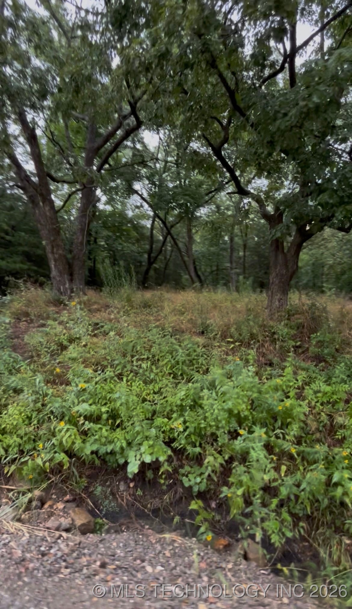 1 N Shoreline Drive Property Photo 1