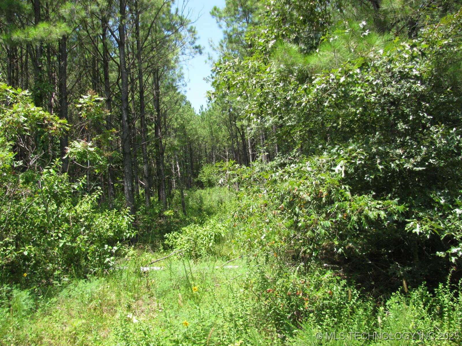 22 Private Road Property Photo 3