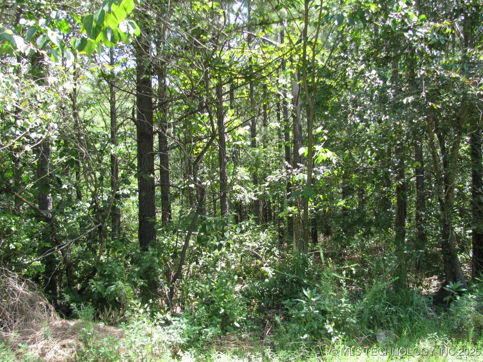 22 Private Road Property Photo 4