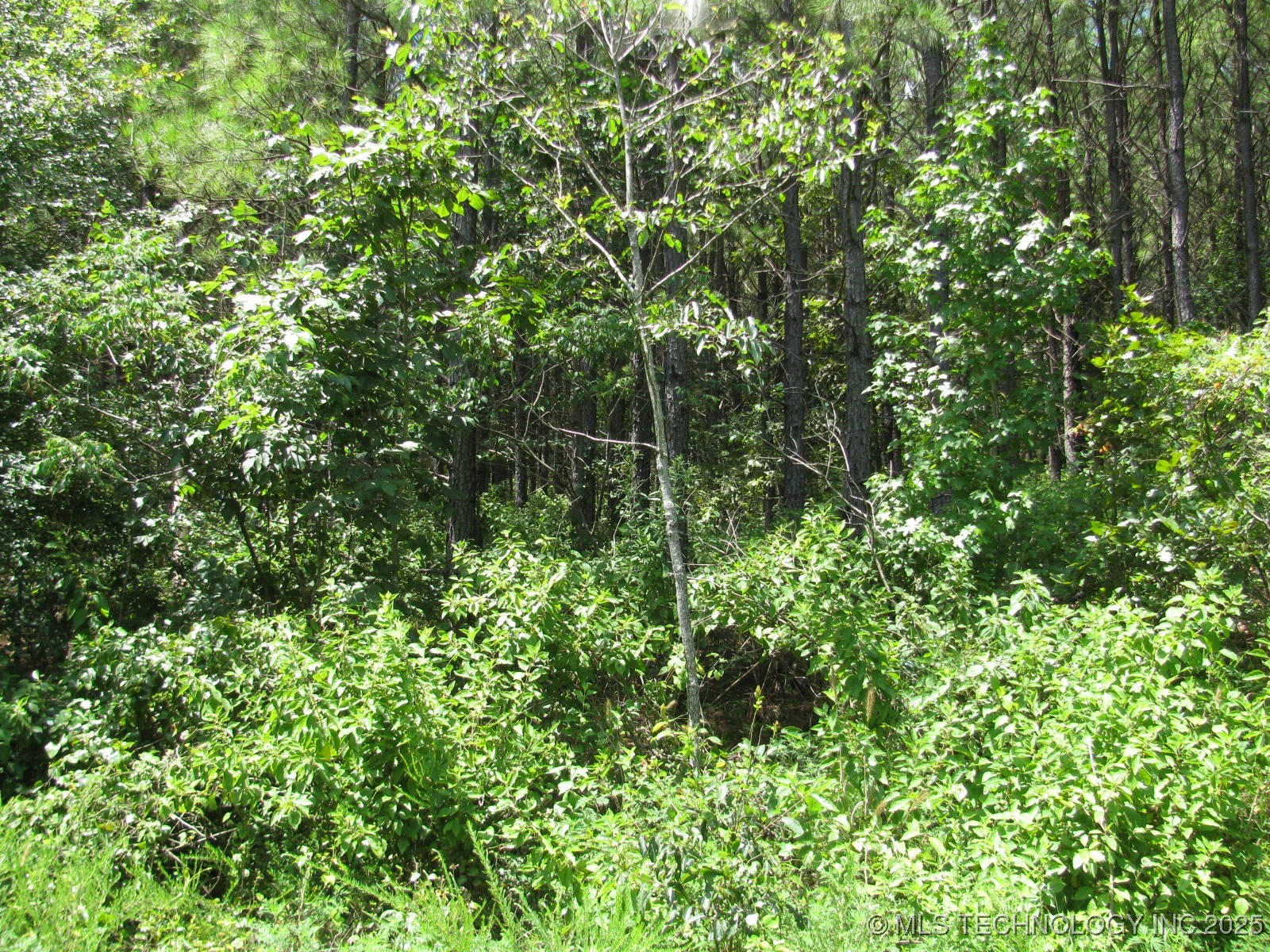 22 Private Road Property Photo 5